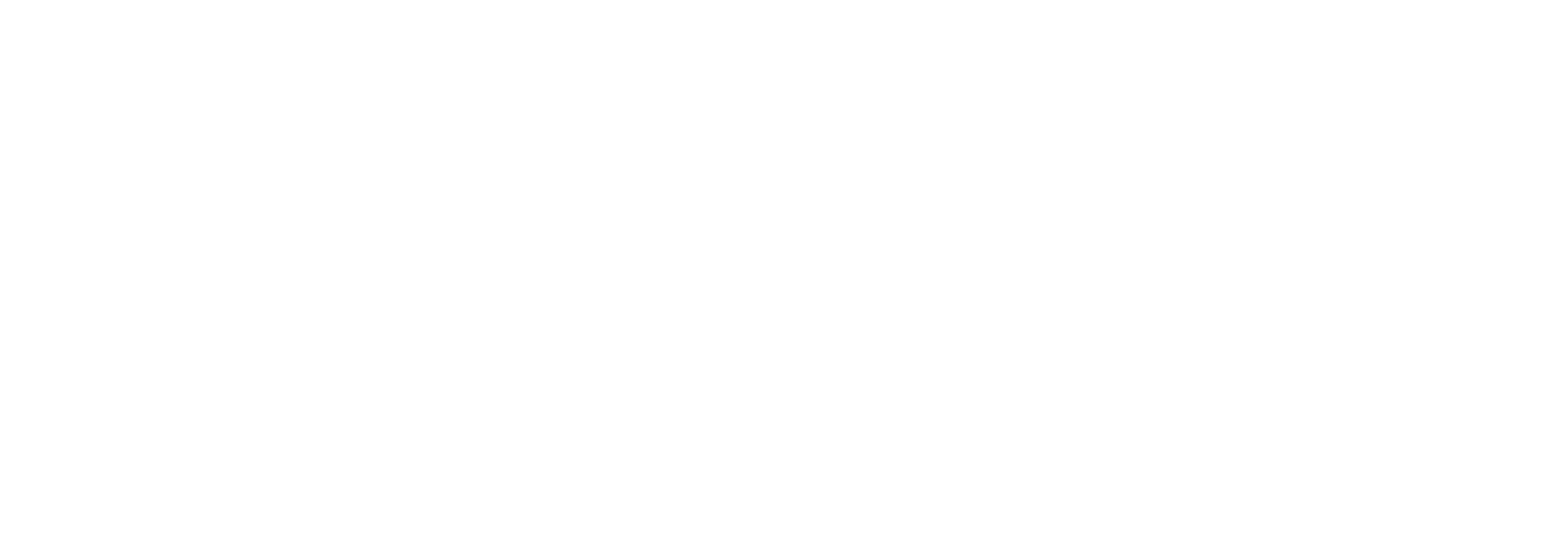 Ehrlich Brothers Pressebereich